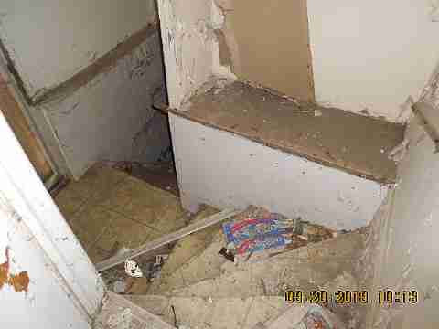 18889 Cardoni (14)_m.jpg